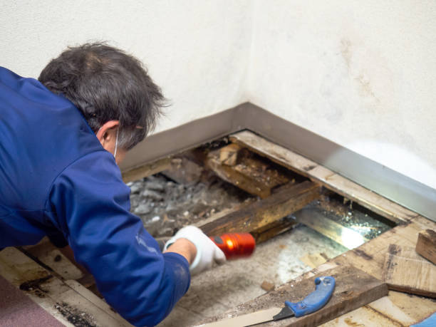 Water Damage Restoration in Beattyville, KY