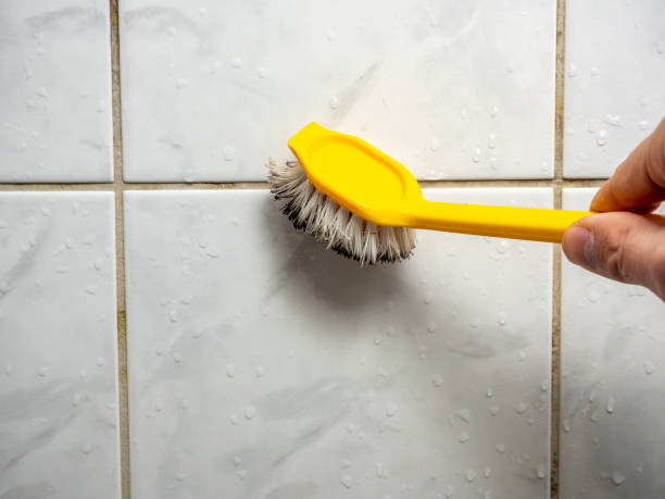 Best Commercial Mold Removal  in Beattyville, KY
