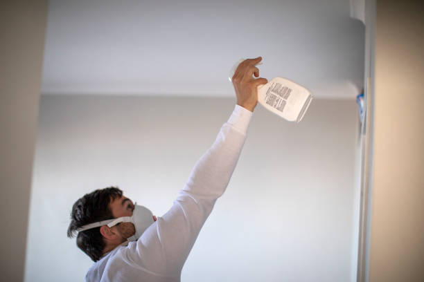 Best Same-Day Mold Removal  in Beattyville, KY