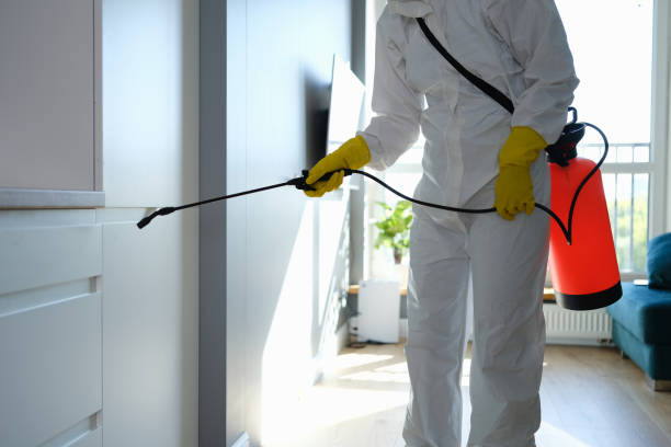 Best Local Mold Removal Service  in Beattyville, KY